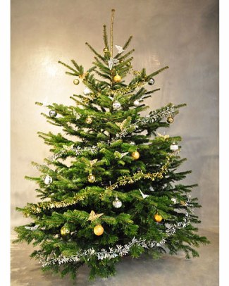 sapins_entreprise_noel